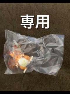 Kenji Matsuda様専用のサムネイル