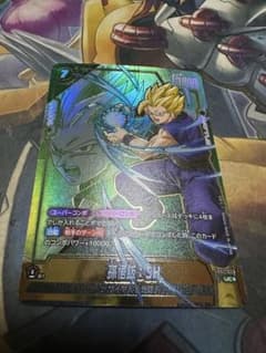 ドラゴンボールフュージョンワールド 孫悟飯 少年期 SR パラレル