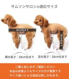 くみさん専用!!ペット専用美容チェア第2弾「SAMSON SALON」のサムネイル