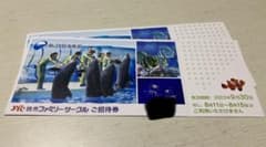 新江ノ島水族館 招待券 2枚のサムネイル