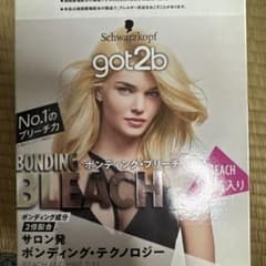 got2b ボンディング・ブリーチ 2箱入りのサムネイル
