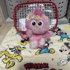 モッピーぬいぐるみマスコット USJ - 2
