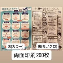 【説明要確認】【印刷費カンパ】ポスティングチラシ 200枚のサムネイル