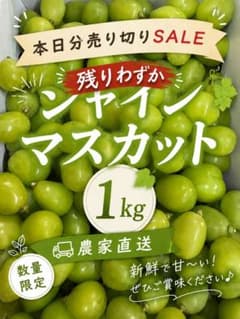 山梨 農家直売 シャインマスカット 1kgのサムネイル