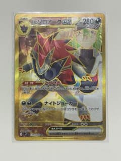 NのゾロアークUR エラーカードのサムネイル
