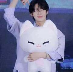 enhypen ソヌ sunoo 50cm ぬいぐるみ 50cm ENHYPEN ソヌ SUNOO ぬいぐるみ - メルカリ