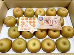 【鳥取県産　新甘泉】赤秀　５キロ　20玉入のサムネイル