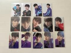 m71108309575_1.jpg?1703512465