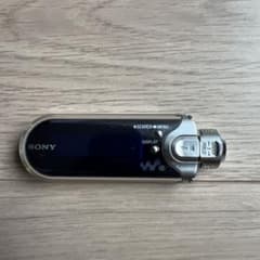 SONY WALKMAN NW-E405 (with earphones and charging cable)