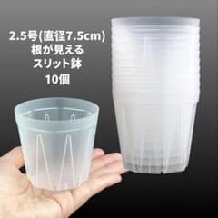 根が見えるスリット鉢 2.5号　6個のサムネイル