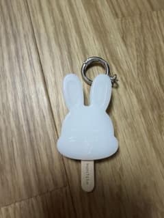 SEVENTEEN MINITEEN キーリング　エスクプス