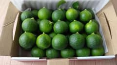 花柚子（一才ゆず）　25個   約850gのサムネイル