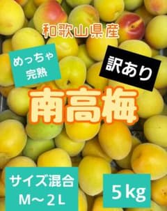 和歌山県産 めっちゃ完熟訳あり南高梅‼️サイズ混合‼️5kg みかん