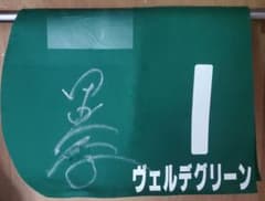 ヴェルデグリーン　実使用ゼッケン(田辺裕信騎手直筆サイン入り) m71116834097_1.jpg?1677469215