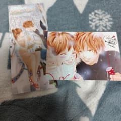 僕等がいた 小畑友紀 原画展 半券 ブロマイド