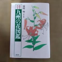 絵合せ 九州の花図鑑 益村聖のサムネイル