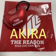 【Y.様専用】EXILE LIVE 2025 AKIRA ・NAOTOヘアゴムのサムネイル