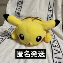 포켓몬 피카츄 티슈 케이스 커버 가격 인하