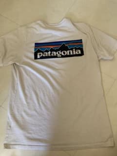 patagonia tシャツのサムネイル