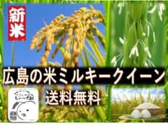 【R８★新米】ひろしまの米★い～ね！★ミルキークイーン５kgのサムネイル