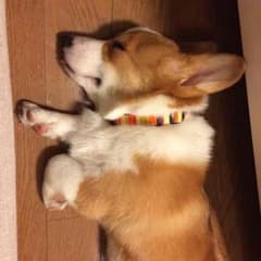micoさま専用のサムネイル