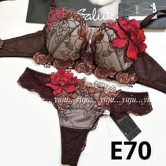 ワコール/サルート 76グループ p-upブラ TバックE70 WI - メルカリ