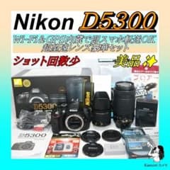 超望遠レンズキット⭐運動会・紅葉！美品⭐人気 Nikon D5300 ⭐一眼