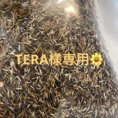 TERA様専用✨のサムネイル