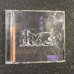 PEDRO 衝動人間倶楽部 DVD付き - メルカリ