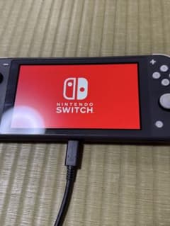 Nintendo Switch Lite グレーのサムネイル