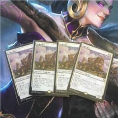 白蘭の騎士のサムネイル
