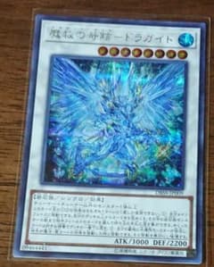 アダマシア・ライズドラガイトシクのサムネイル