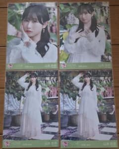 LOVE 山本杏奈 生写真 2026 June 4枚セット モラトリアム - メルカリ