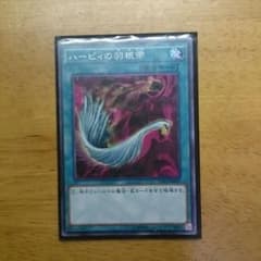 ハーピィの羽根帚 ノーマルのサムネイル
