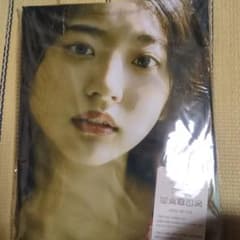 武田玲奈　2WAYトリコット 　抱き枕カバー