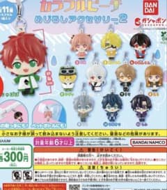 カラフルピーチ めじるしアクセサリー2 たっつんのサムネイル