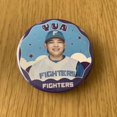 最終値下げ】日本ハムファイターズ 田宮 裕涼選手スタンド付きアクリル