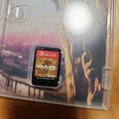ゼルダの伝説 ブレス オブ ザ ワイルド