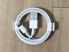 Apple iPhone Lightning USB Cable Charger (Genuine, SE3)
