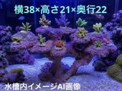 人工ライブロック PHR83／11穴加工擬岩/60cm水槽〜/海水魚/サンゴ水槽