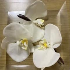 【たま様専用】胡蝶蘭　髪飾りのサムネイル