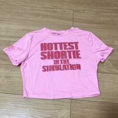 クロップド丈 Tシャツ ピンクのサムネイル