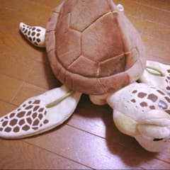 クラッシュ♡ディズニー帽子のサムネイル