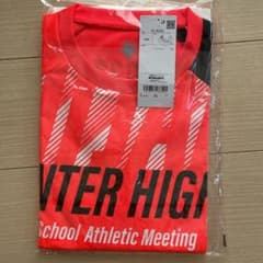 四国インターハイ2022限定Ｔシャツ（デサント）Ｌのサムネイル