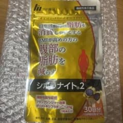 シボラナイト2のサムネイル