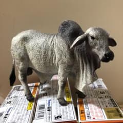 コレクタ collecta  動物フィギュア　コブウシ(雄)のサムネイル