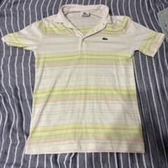 LACOSTE ラコステ ボーダー ポロシャツ サイズ2のサムネイル