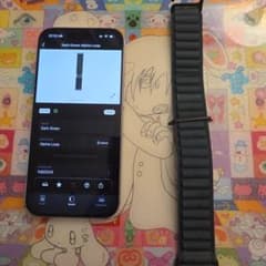 Thumbnail of Apple Watch 純正 アルパインループ 49mm