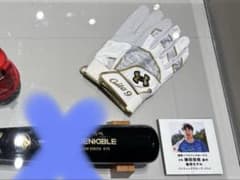 安い柳田悠岐 バッティンググローブの通販商品を比較 | ショッピング