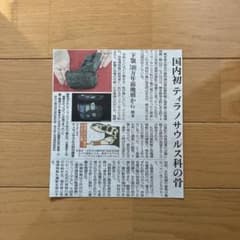 Thumbnail of ティラノサウルス 下顎